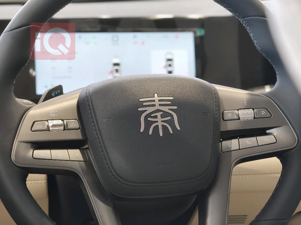 بي واي دي كوين L DM-i